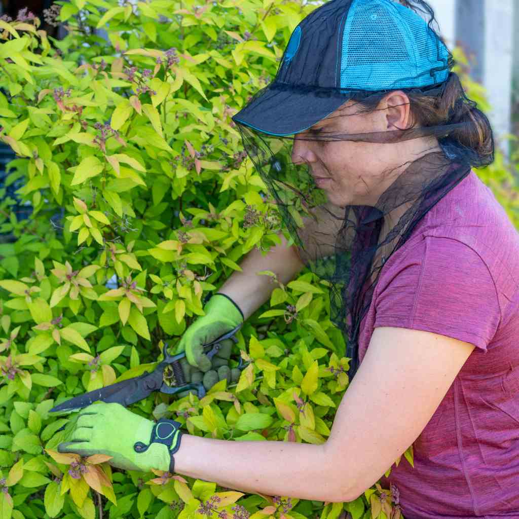 Ben's InvisiNet XTRA with Insect Shield woman wearing while cutting bushes